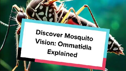 Discover Mosquito Vision: Ommatidia Explained