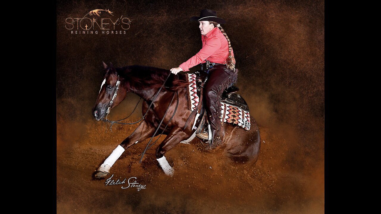 Sparkville shown by Amy Stoney 2020 NRBC SmartPak Non Pro Futurity