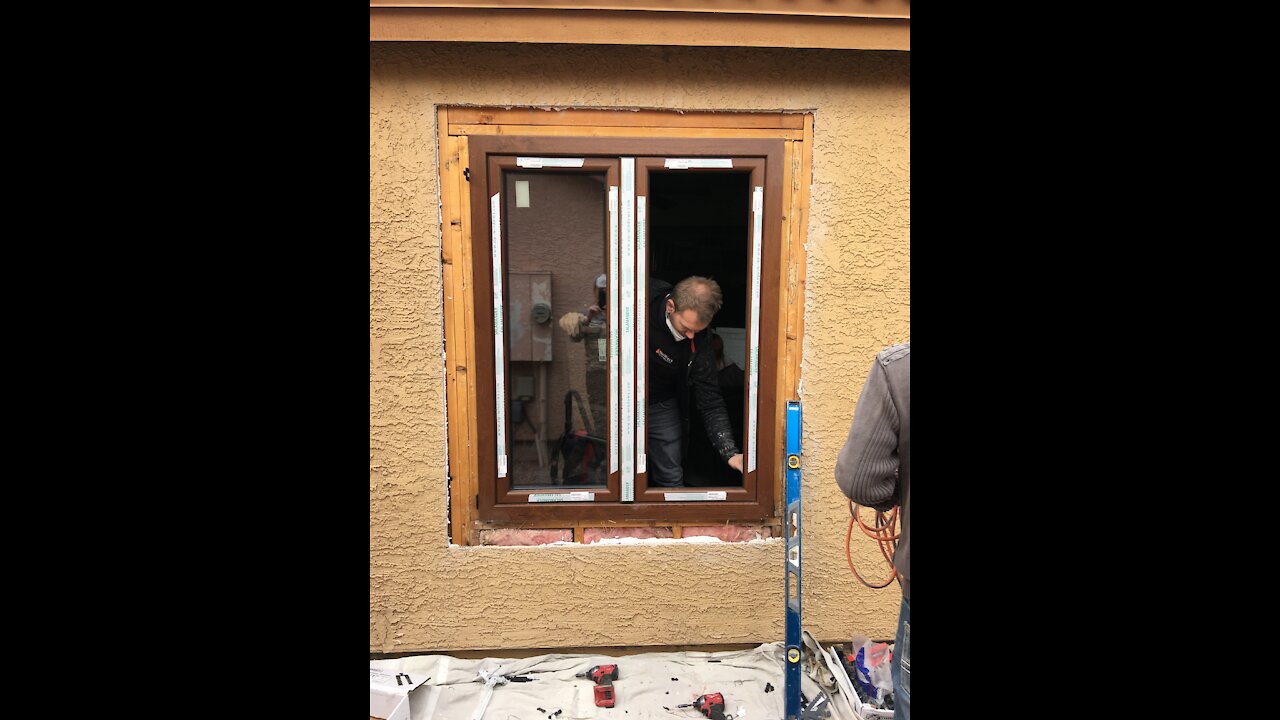 Windows Replacement
