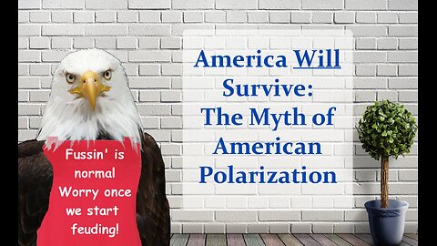 America Will Survive: The Myth of American Polarization