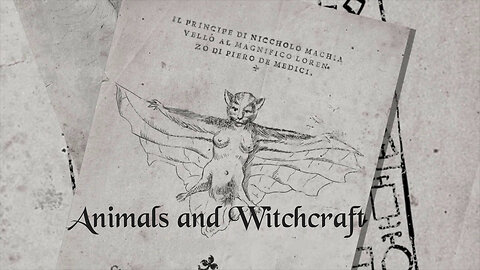 Animals and Witchcraft