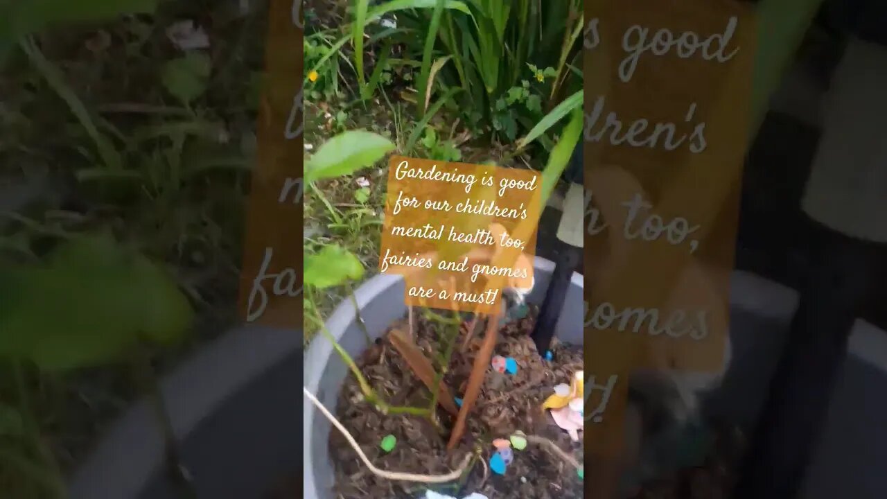 How many fairies and gnomes are in your garden? #gardeningcanbefun