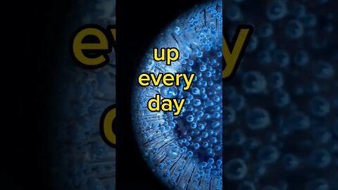 Never give up #mindset #crypto #blockchain #btc #agix #btc #bitcoin #success #proud