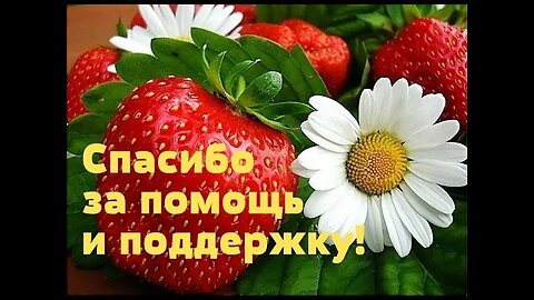 Огромное спасибо, мои российские зрители, Я ЛЮБЛЮ ВАС