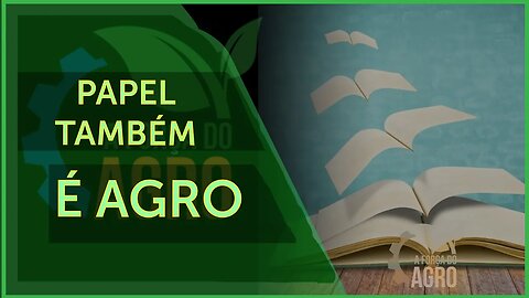 Matéria-prima é extraída principalmente de pinus e eucaliptos