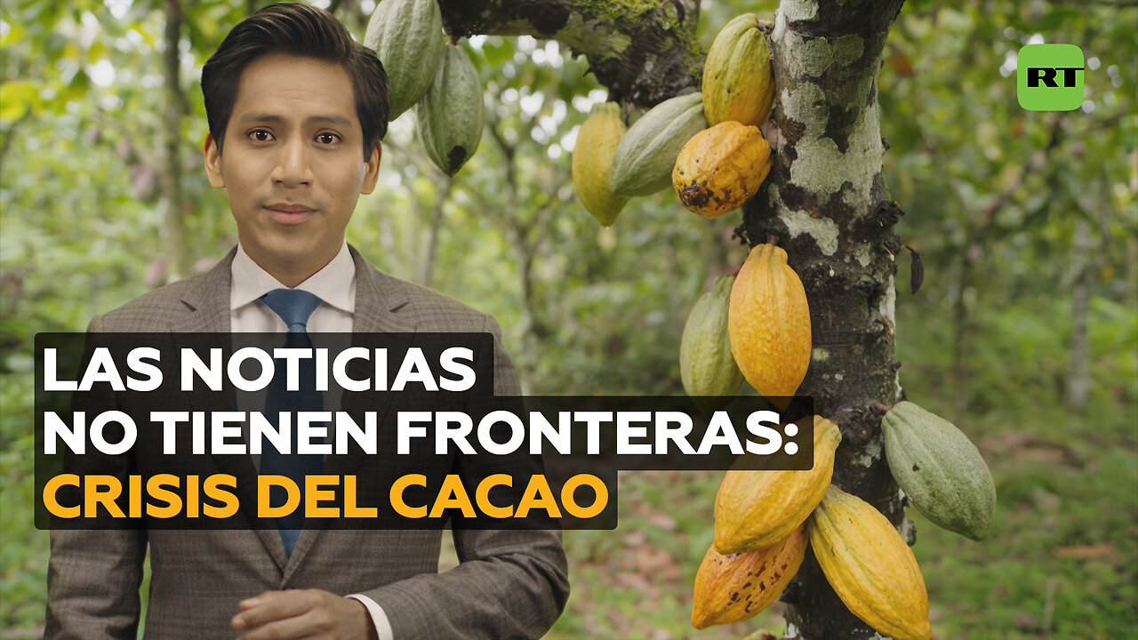 Latinoamérica fortalece su posición en el mercado de cacao