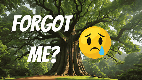 A Tree's Autobiography