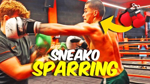 UNSEEN Footage Of Sneako SPARRING 🥊