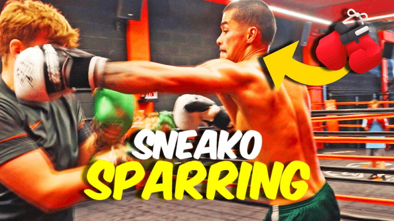 UNSEEN Footage Of Sneako SPARRING 🥊