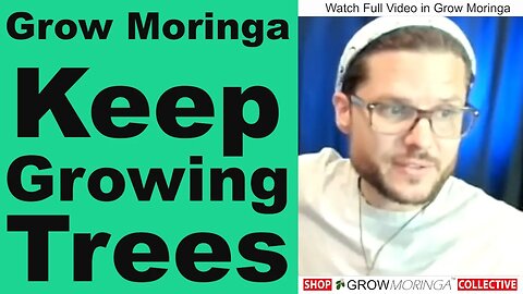 10X Your Moringa Operation For Profit | Plant Density, Intensive Microgreens, Fedge & Orchard Style