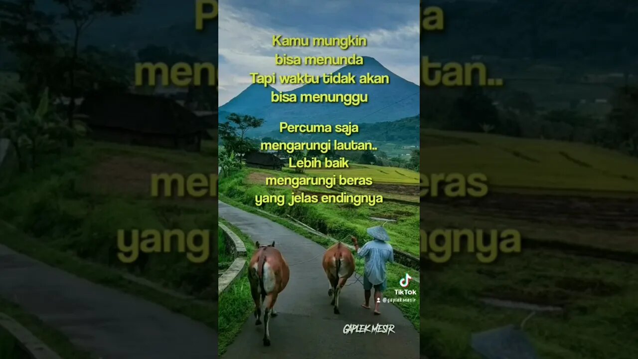 Ngarungi lautan?