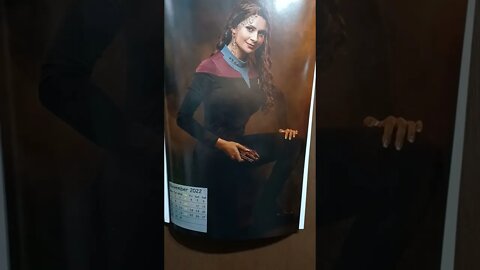 That Star Wars Girl Calendar and Dad Jokes