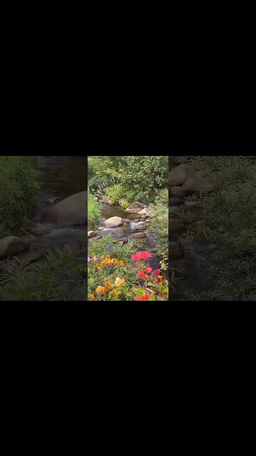 Beautiful Natural View