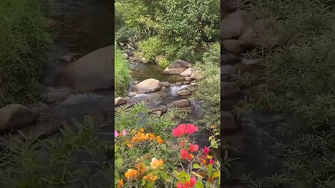 Beautiful Natural View