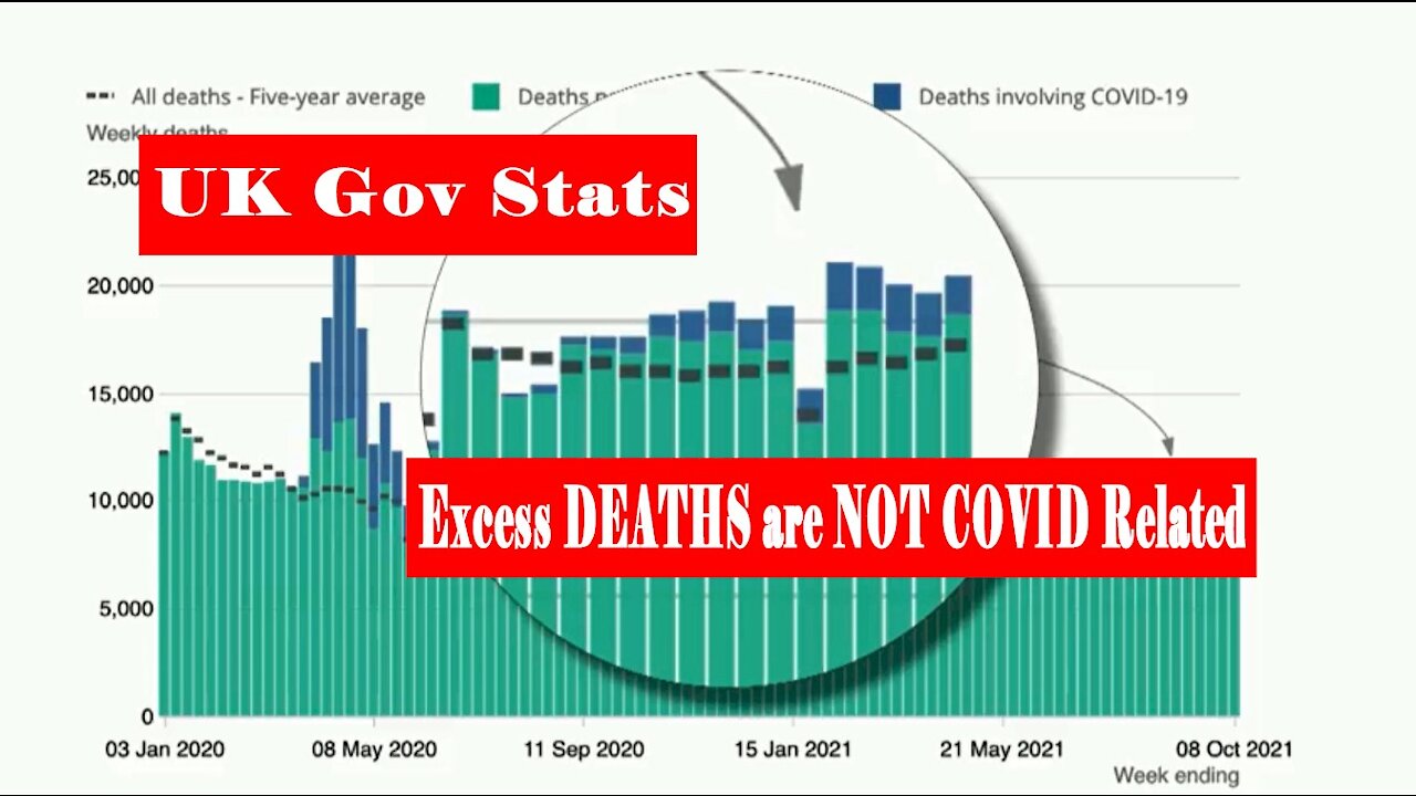 TUCKER CARLSON ALEX JONES AND UK COLUMN EXPOSE JUMP IN NONE COVID RELATED DEATHS AS THE JABS ROLL ON
