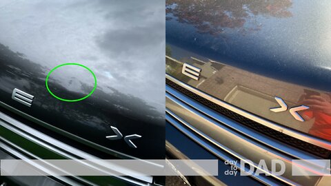 Review of Dent Ninja and Paintless Dent Repair