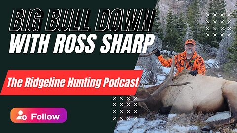 Big Bull Down With Ross Sharp