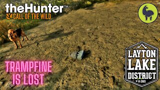 The Hunter: Call of the Wild, Trampfine- Trampfine is Lost, Layton Lakes (PS5 4K)
