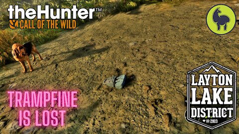 The Hunter: Call of the Wild, Trampfine- Trampfine is Lost, Layton Lakes (PS5 4K)