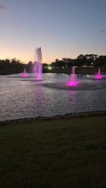 My Peaceful Place - Amazon Blows