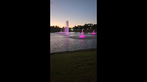 My Peaceful Place - Amazon Blows