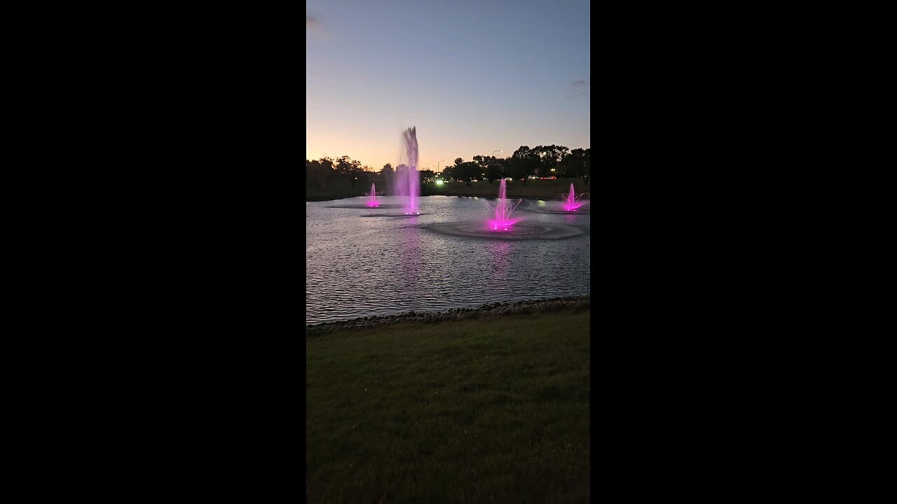 My Peaceful Place - Amazon Blows
