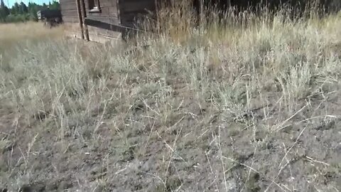 Visiting an Abandoned log Cabin Homestead $$ 15