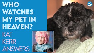 Kat Kerr Who Watches My Pets Until I Get To Heaven? | March 24 2021