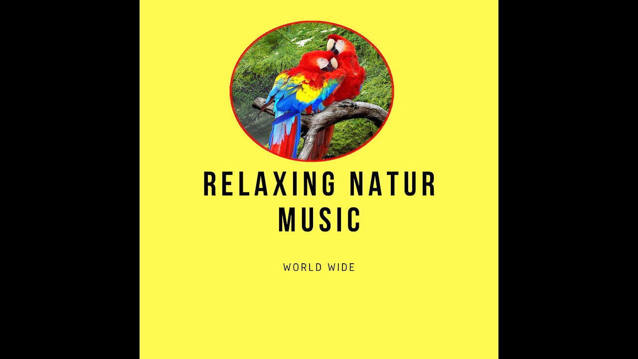 8D-Music RELAXING nature sound birds-meditation,calm,peace audio 8D