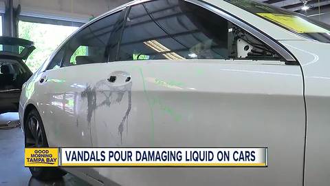 Four cars damaged by acid-like liquid in Tampa