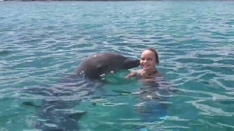 We Play with Dolphins on a Tropical Island! Kids Fun TV