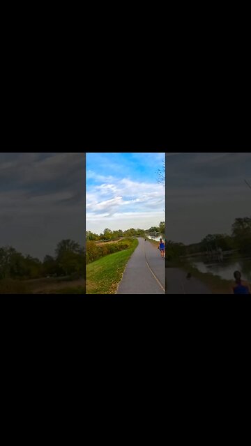 Heron on the Erie Canal Trail by a pond #bikelife #roadbike #eriecanal #bikecommuting