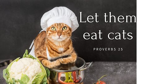Let them eat cats - Pastor Jonathan Shelley | Stedfast Baptist Church