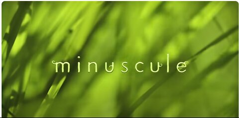 Minuscule - Compilation #9