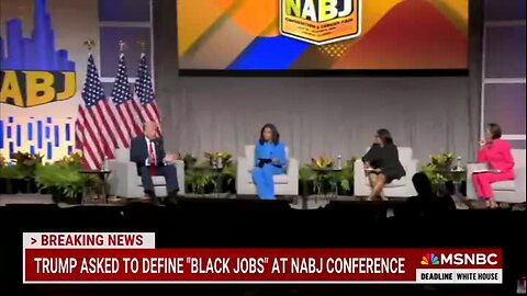 Trump Defines ‘Black Jobs’: ‘A Black Job Is Anybody That Has a Job’