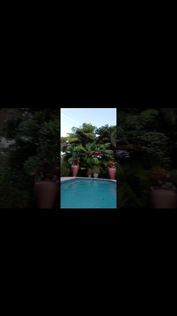 Crypto Skulls Airbnb Art Basel