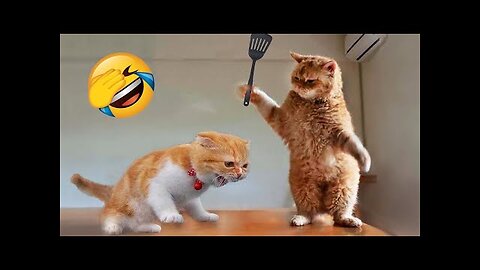 1 Hour Trending Funny Dogs And Cats Videos 😂 Funniest Cats and Dogs 😸🐶