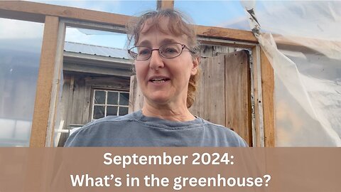What's in the Greenhouse September 2024