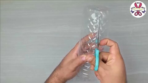 Tips to grow garlic in water bottles