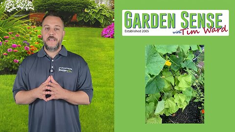 Garden Sense with Tim Ward - 07.31.24