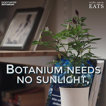 Botanium: The New Way to Grow Your Garden