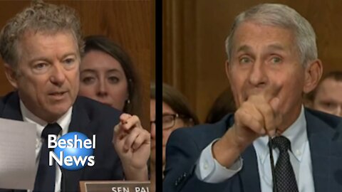 Rand Paul slams Fauci pins blame for thousands of monthly COVID deaths