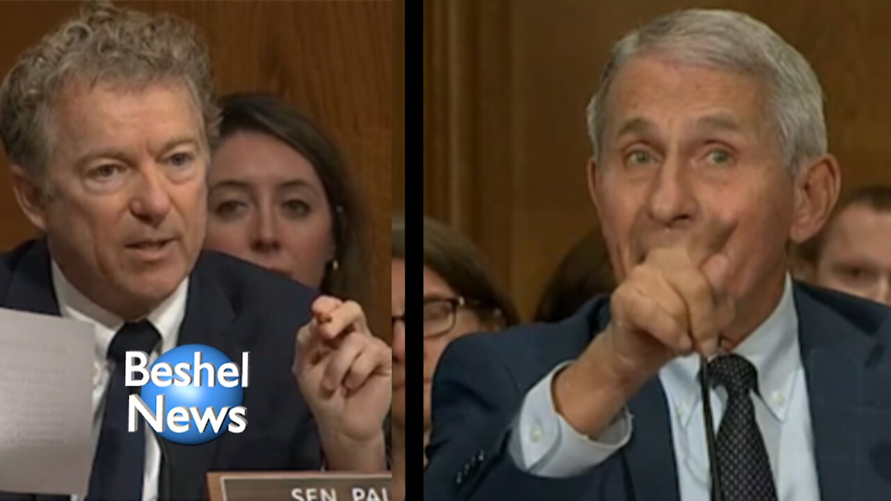 Rand Paul slams Fauci pins blame for thousands of monthly COVID deaths