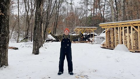 I Have a Plan for the Woodyard...But Need Your Help