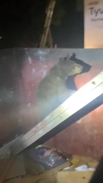 California Police Deputies rescue three bear cubs from a dumpster