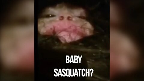 Baby Bigfoot Found ALIVE #shorts