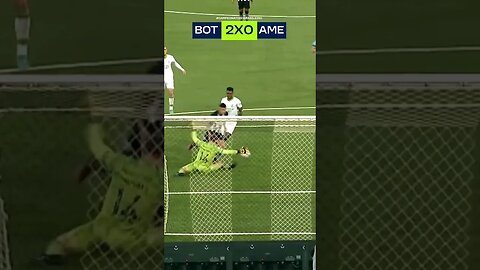 🔥SÓ GOLAÇO! CRAVADA DO BOTAFOGO CONTRA O AMÉRICA-MG! SEGUE O LÍDER! #botafogo #brasileirão