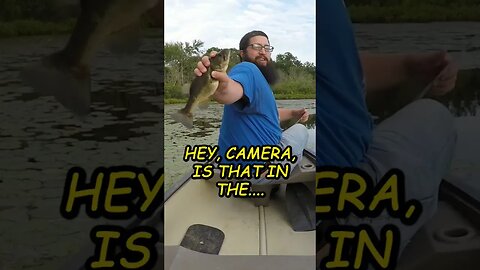 How NOT to hold a fish... #fishing #bass #comedy #funny #podcast