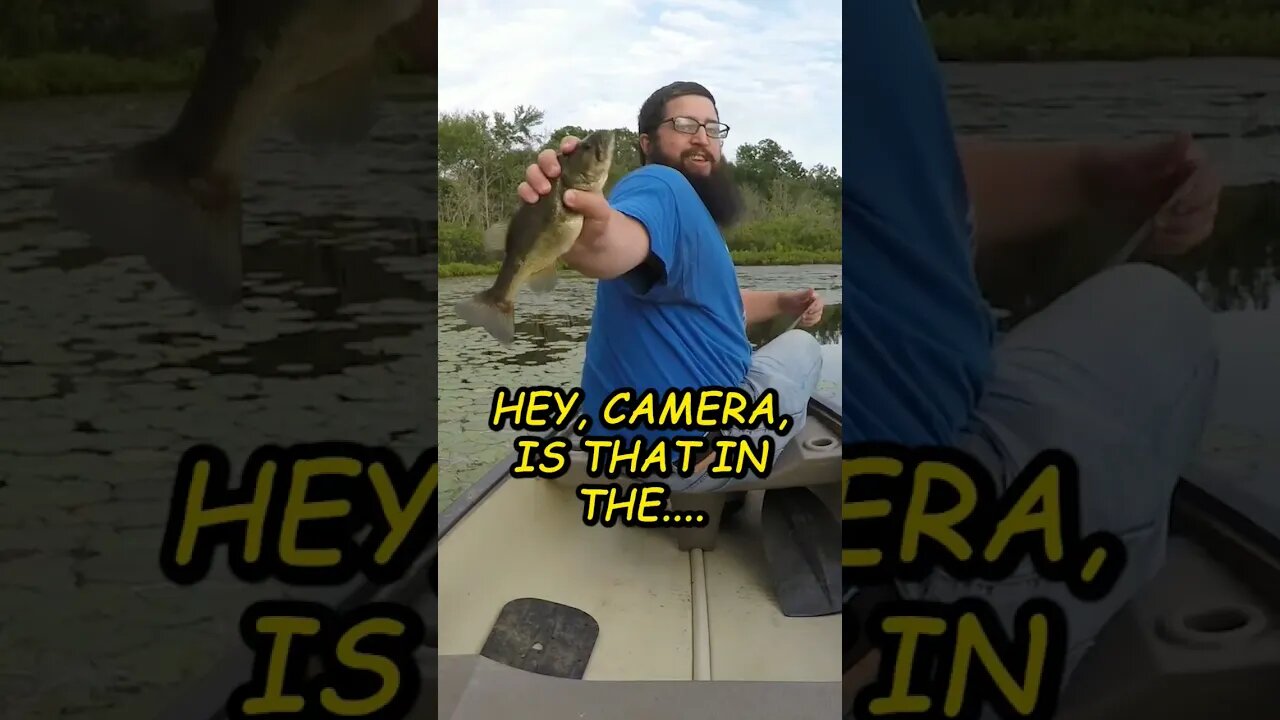 How NOT to hold a fish... #fishing #bass #comedy #funny #podcast
