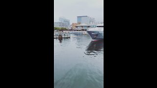 View of Norfolk,VA Waterside